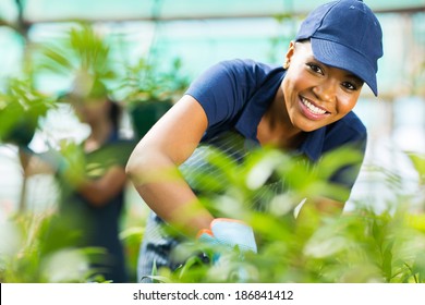 young african female nursery worker working inside greenhouse - Powered by Shutterstock