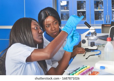 Young African Female Tech Or Scientists Work With Medical Blood Samples In Test Lab. Testing Patients With Viral Pneumonia Covid-19 Caused By SARS-Cov-2 Virus.