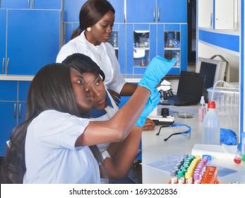 Young African Female Tech Or Scientists Work With Medical Blood Samples In Test Lab. Screening Of Samples From Patients With Viral Pneumonia Covid-19 Or Their Contacts Mild Respiratory Symptoms.