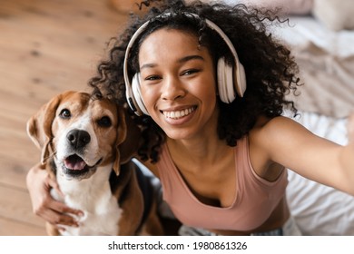 Young african woman in casual wear with beagle puppy at home, relaxing on bed in headphones, taking a selfie - Powered by Shutterstock