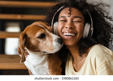 Young african woman in casual wear with beagle puppy at home, sitting on stairs in headphones, cose up, playing with dog