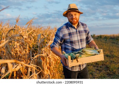 39,929 Corn smile Images, Stock Photos & Vectors | Shutterstock