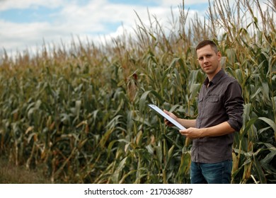 Young Agronomist Holds A Paper Chart In His Hands And Analyzes The Corn Crop