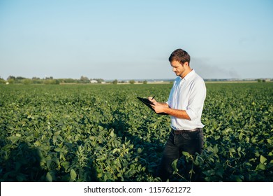 Young agronomist holds tablet touch pad computer in the soy field and examining crops before harvesting. Agribusiness concept. agricultural engineer standing in a soy field with a tablet in summer - Powered by Shutterstock