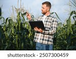 A young agronomist inspects the quality of the corn crop on agricultural land. Farmer in a corn field on a hot sunny day.