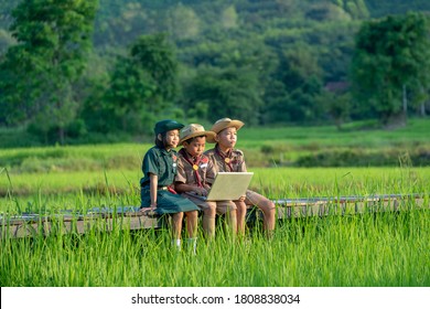 Young American Boy Scouts Use Laptop At Scout Camp During Their Summer Camp.