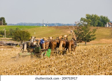 Young Amish Boy Operating A Horse-drawn Plow In Fields In Rural Pennsylvania.