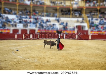 A young Andalusian bullfighter Fran Lupin in a dirty suit with a red muleta in his hand fights with a bull toro bravo in the bullfighting arena in Almeria during a fiesta in front of the audience..