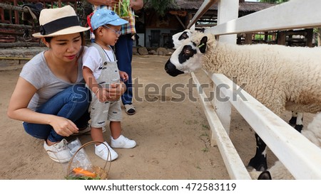Young asia woman and her little son feeding a sheep