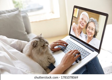 Young Asian Adult Daughter Staying At Home With Pet Cat Talking To Senior Parents Online Via Video Chat Using Laptop Computer