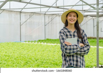 young asian agronomist farmer smiling and holding mobile smart tablet with hydroponic fresh green vegetables produce in greenhouse garden nursery farm, smart farming, agriculture business concept