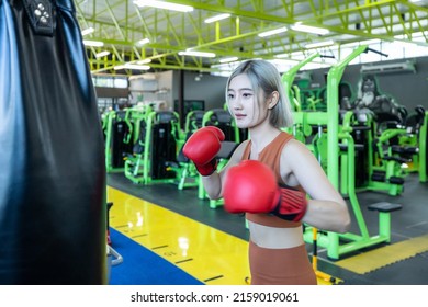 Young asian athlete woman posing in boxing gloves, Female boxer hitting a huge punching bag at a boxing studio. Woman boxer training hard, Attractive Asian Female Boxer At Training.