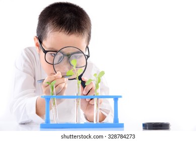 Young Asian boy check young seedling plant in glass tube for his experimental on white background