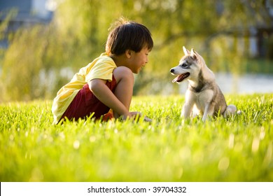 Young Asian boy playing with Alaskan Klee Kai puppy sitting on grass - Powered by Shutterstock