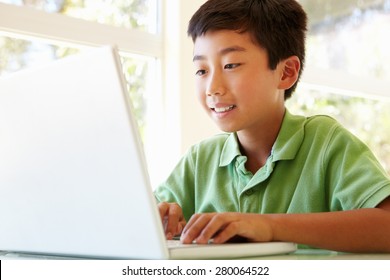 Young Asian Boy Using Laptop