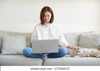 Young Asian Businesswoman Working At Home Using Laptop Computer While Caressing Pet Cat