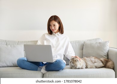 Young Asian Businesswoman Working At Home Using Laptop Computer While Caressing Pet Cat