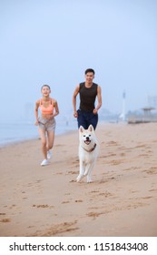 Young Asian Couple Walking On Beach With Pet Dog.