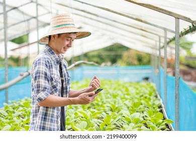 Young Asian farmer happily holding a smartphone in a vegetable field - Shutterstock ID 2199400099