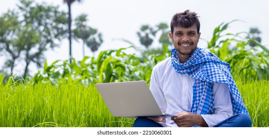 Young Asian Farmer With Laptop At Agriculture Field