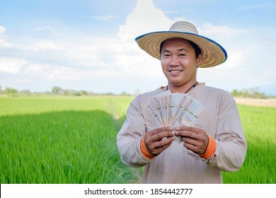 Young Asian Farmer Man Holding Banknote Money At Green Rice Farm.