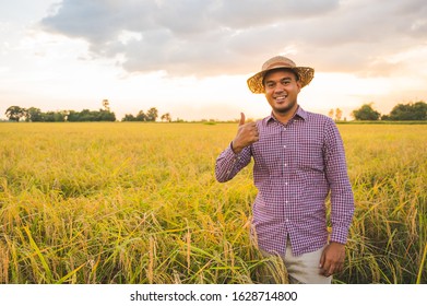 Young asian farmer and paddy field with thumb up.