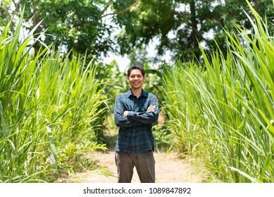 Young Asian Farmer Standing In Napier Grass Field