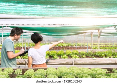 Young Asian Farmers Using Water Management Technology In The Greenhouse To Take Their Farming More Sustainable And Eco-friendly. Fair Trade, Local Suppliers, Entrepreneur, Safety Foods, Organic.