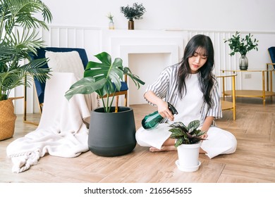 Young Asian Long Black Hair Woman Wearing Casual Cloth Sprayed Water On A Small House Plant In The Pot With Care. Monstera And House Plant Lover At Home. The Concept Of Plant Care.