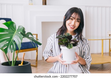 Young Asian Long Black Hair Woman Holding A Small House Plant In The Pot With Care And Smile. Monstera And House Plant Lover At Home. The Concept Of Plant Care.