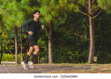 A young asian man jogs at a leisurely pace along a brick sidewalk at a park lined with pine trees. An easy cardio session.