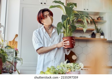 Young Asian Man In Mask Holding Flower Pot With Green Plant Near The Window