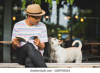 Young Asian Man Reading Book With Dog.