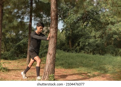 A young asian man stretches his calves while leaning on a pine tree. A morning warmup before a running session.