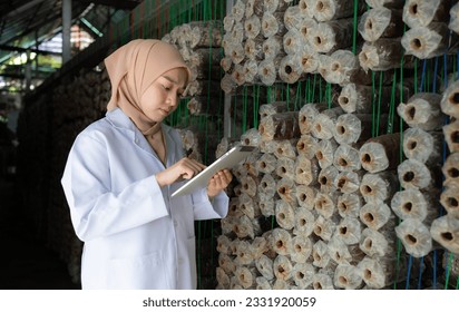 Young asian muslim female scientist research work at mushroom factory, collecting mature mushrooms in mushroom house for laboratory experiments. - Powered by Shutterstock