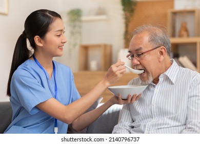 Young Asian Nurse Feeding Breakfast To Senior Man At Couch. Old Asian Man With White Beard Enjoy His Meal. Caregiver Take Care Of Senior Man, Give Soft Food, Look After To Patient.Elderly Care Concept