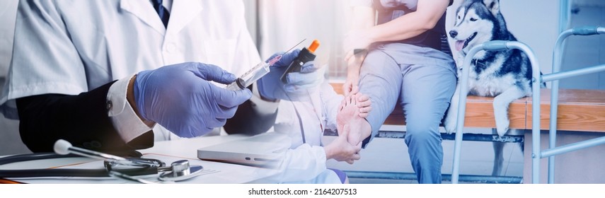 Young Asian Physical Therapist Working With Senior Woman On Walking With A Walker