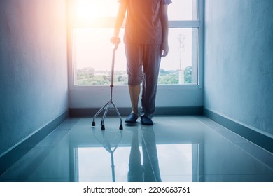young asian physical therapist working with senior woman on walking with a walker - Shutterstock ID 2206063761