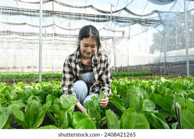 Young Asian smart farmer working with smart agriculture organic hydroponic vegetable greenhouse. - Powered by Shutterstock