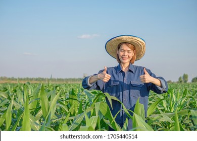 Young asian smile woman farmer wear blue shirt stand thumb up in rice field Thailand. image for present products with copy space