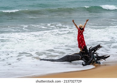 young Asian tourist feels free and stands on a log on the beach by the sea with clear waves breaking into shore.