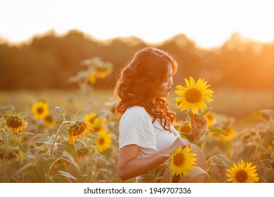 ヒマワリ イラスト かわいい の写真素材 画像 写真 Shutterstock