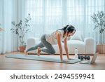 Young Asian woman doing sport exercises indoor. Beautiful girl workout at home. Athletic outfit is doing mountain climber exercises