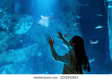 Young Asian woman enjoy and fun learning and looking sea life at Aquarium on holiday vacation. Attractive girl looking shoal of fish and aquatic animals in large glass tank during travel in Oceanarium