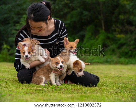 Young asian woman holding group of Welsh Corgi puppies in arm outdoor