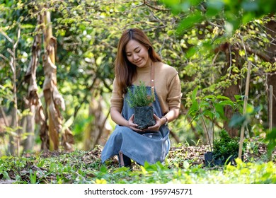 A Young Asian Woman Holding And Preparing To Plant Rosemary Tree For Home Gardening Concept