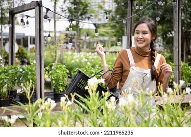 Young Asian Woman At A Nursery Holding A Potted Black Florist Flowers In Planthouse As She Walked In The Walkway Between Plants With A Basket Of Fresh White Flowers For Sale