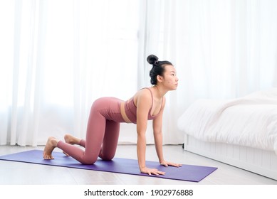 Young Asian woman practice yoga to reduce strecth working from home in a bed room. - Shutterstock ID 1902976888