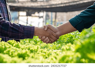 Young Asian woman and senior man farmer working together in organic hydroponic salad vegetable farm. Modern vegetable garden owner using digital tablet inspect quality of lettuce in greenhouse garden. - Powered by Shutterstock