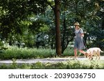 young asian woman in sundress and straw hat strolling with labrador in park
